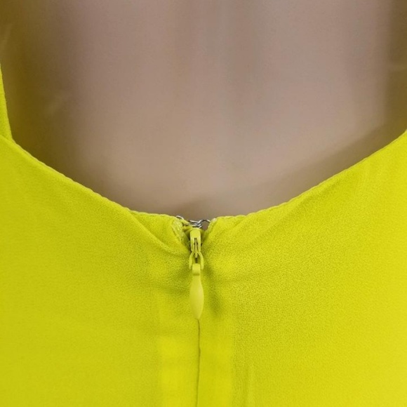 Naked zebra dress - Picture 5 of 6